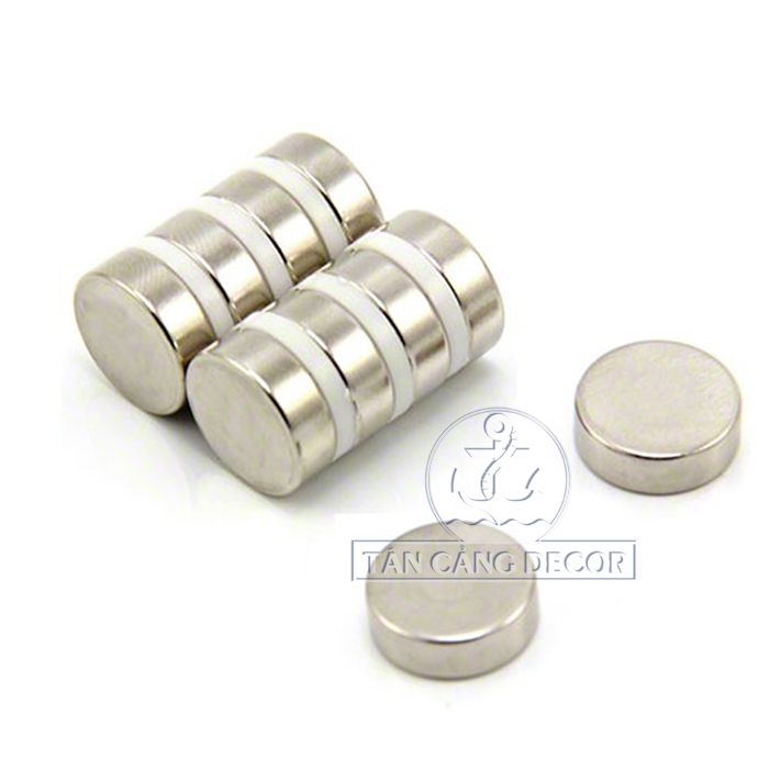 Nam châm tròn 15x5 mm - Ảnh 4