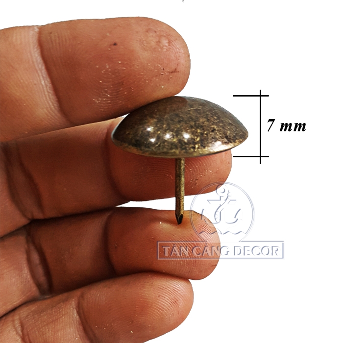 Đinh Dù Màu Đồng D=25mm - 1 Cái - Ảnh 3