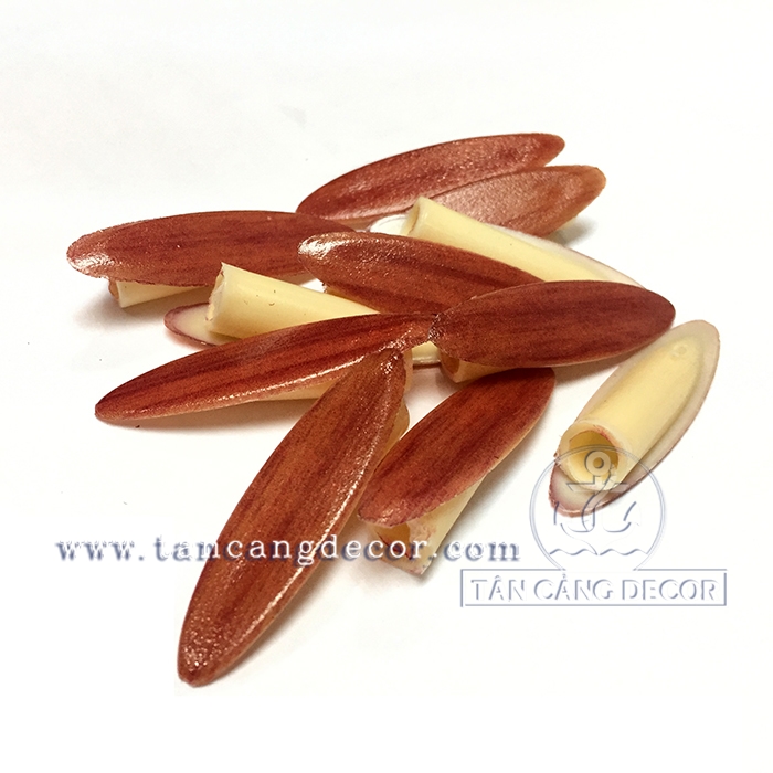 100 cái Chốt che lỗ khoan chéo - cánh gián vân gỗ - Ảnh 3