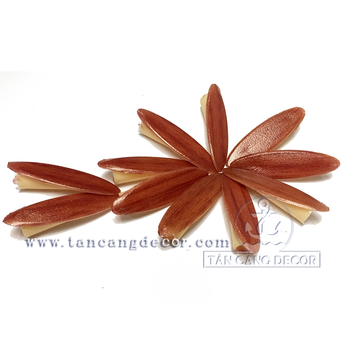 100 cái Chốt che lỗ khoan chéo - cánh gián vân gỗ