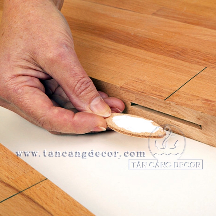 Mộng bánh quy 53x19x4mm - Cỡ 10 - Ảnh 5