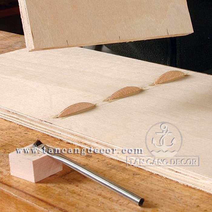 Mộng bánh quy 53x19x4mm - Cỡ 10 - Ảnh 6
