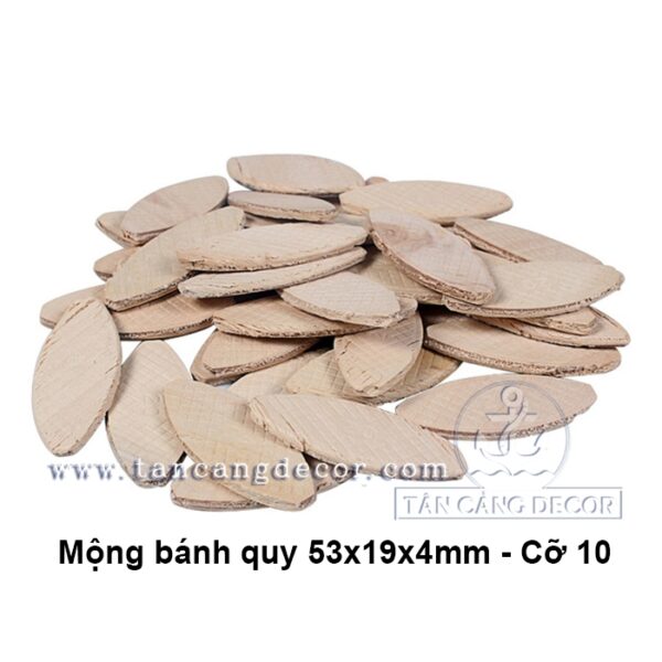 Mộng bánh quy 53x19x4mm - Cỡ 10