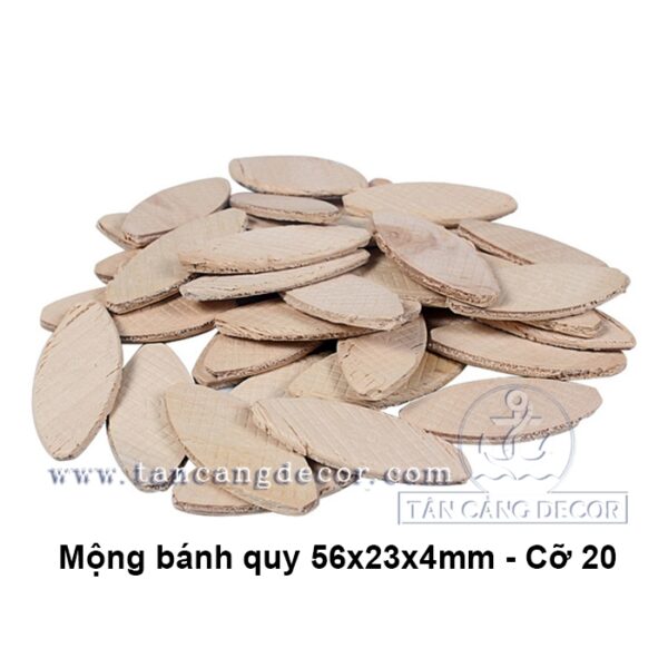 Mộng bánh quy 56x23x4mm - Cỡ 20