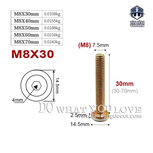 Bulong Lục Giác Chìm M8 x 30 mm - 25 Con