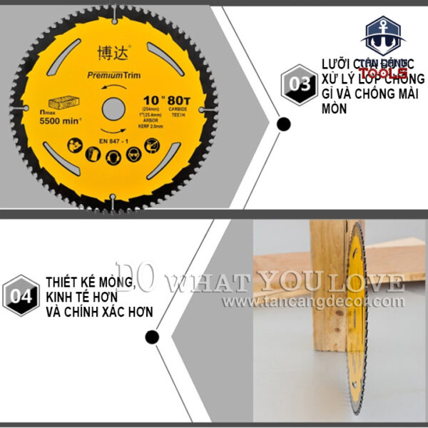 Lưỡi Cưa Gỗ Hợp Kim 185 x 25.4 mm x 40T Luxter 6008058 - Ảnh 9