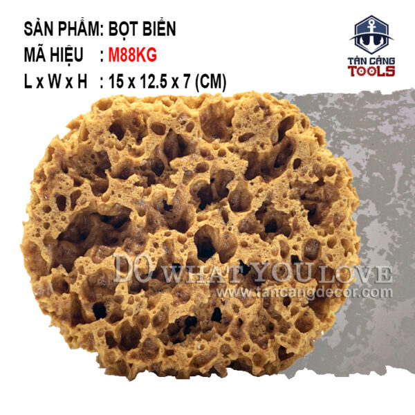 Miếng Mút Bọt Biển Tự Nhiên Sơn Hiệu Ứng M88KG ( Lỗ To )