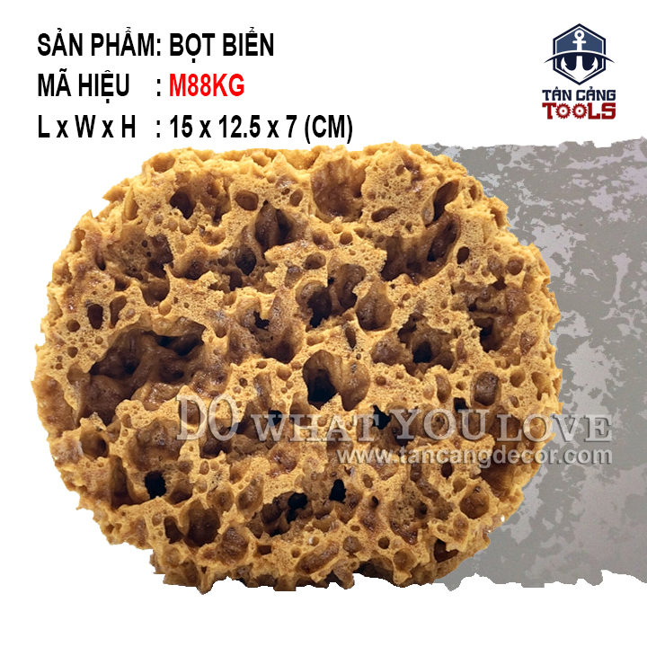 Miếng Mút Bọt Biển Tự Nhiên Sơn Hiệu Ứng M88KG ( Lỗ To )