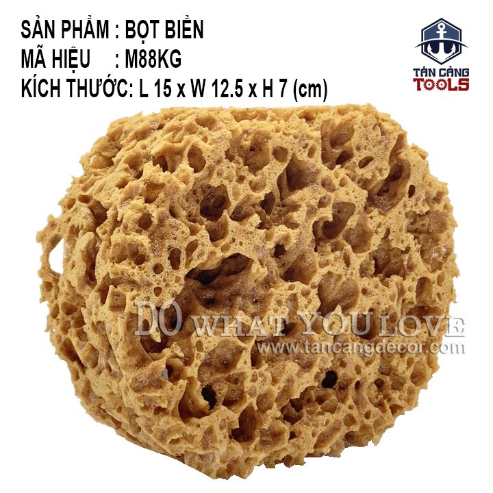 Miếng Mút Bọt Biển Tự Nhiên Sơn Hiệu Ứng M88KG ( Lỗ To ) - Ảnh 3