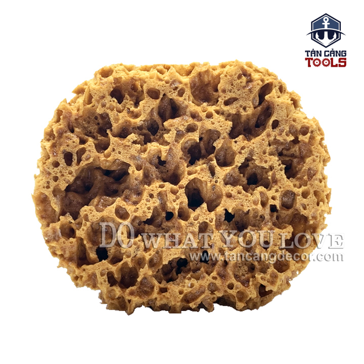 Miếng Mút Bọt Biển Tự Nhiên Sơn Hiệu Ứng M88KG ( Lỗ To ) - Ảnh 4