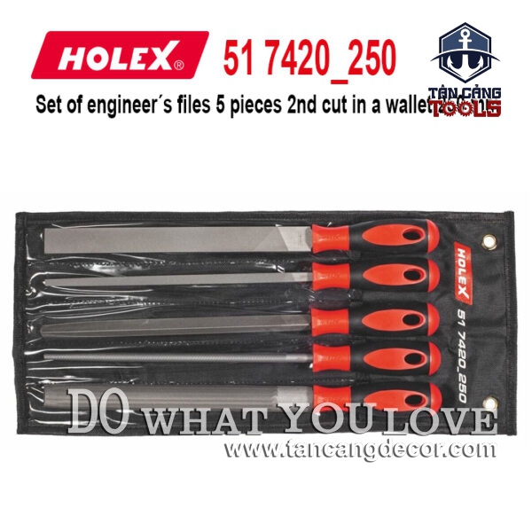 Bộ 5 Cây Dũa Dài 250 mm Holex 51 7420 250